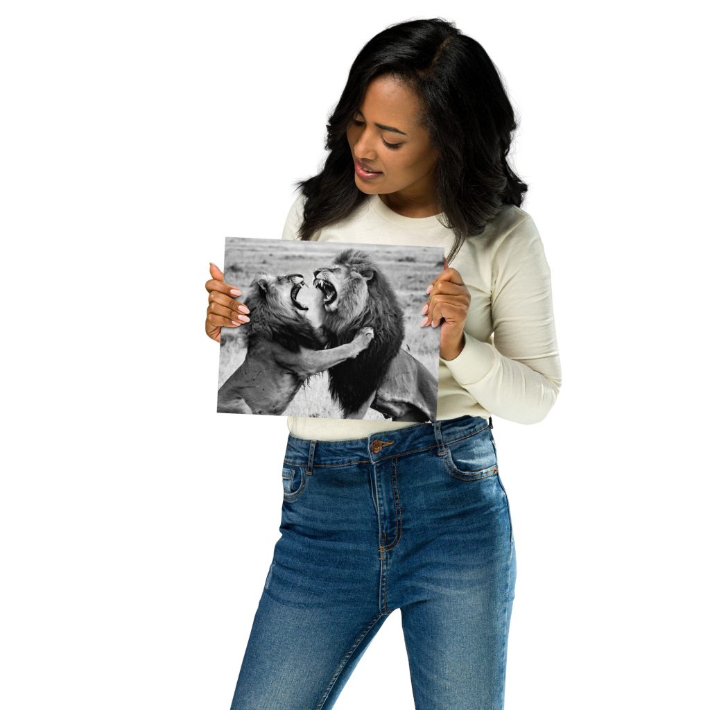 Metal prints