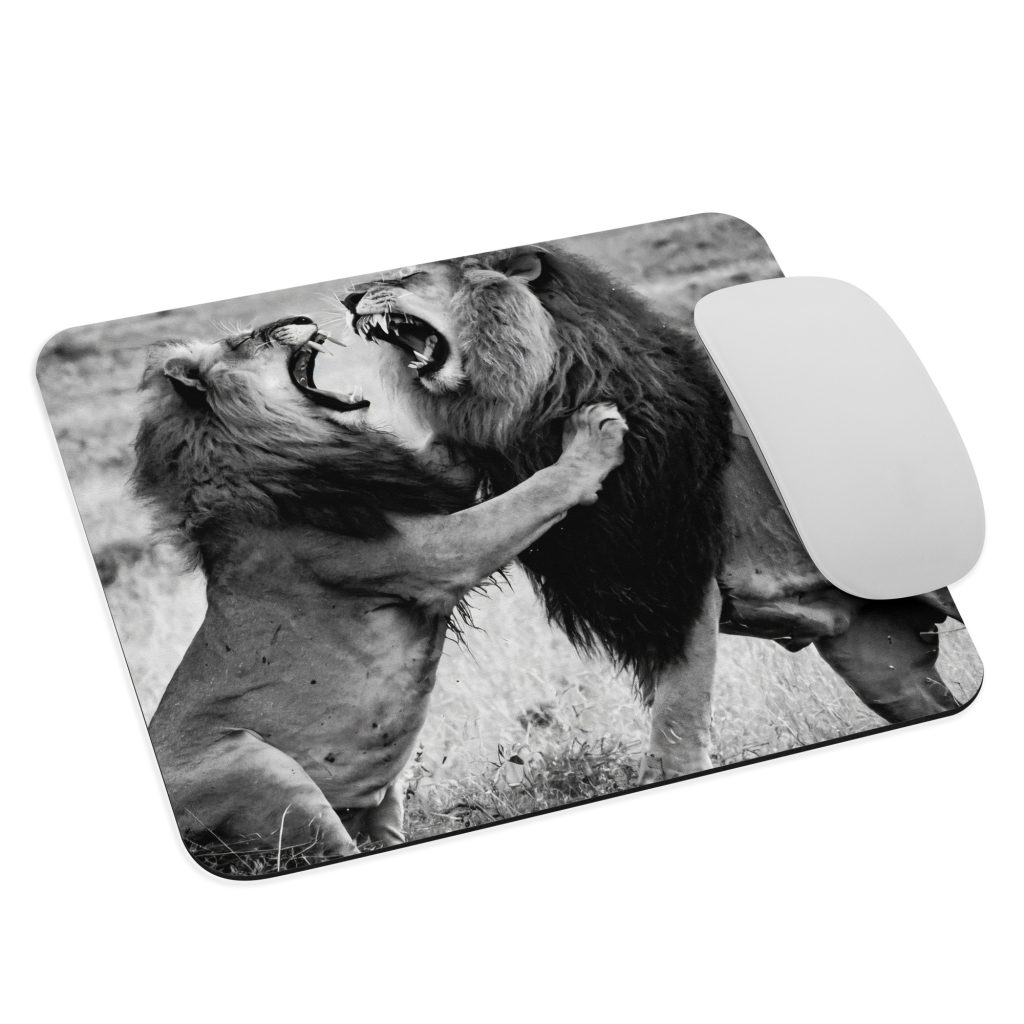 Mouse pad