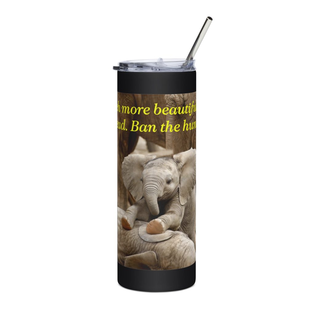 Stainless steel tumbler
